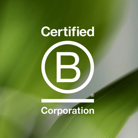 Optizinc Powder™