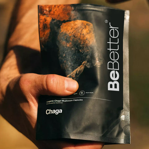 Chaga Mushroom Powder™